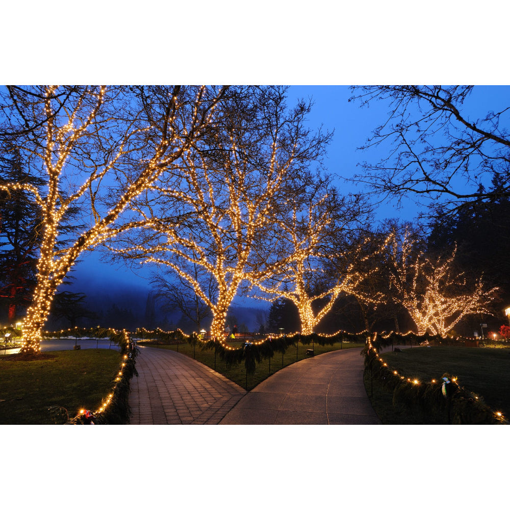 Lightcraft Outdoor 12V Twisted Mini String Light - 12V AC - 33' Roll - 2700K 1