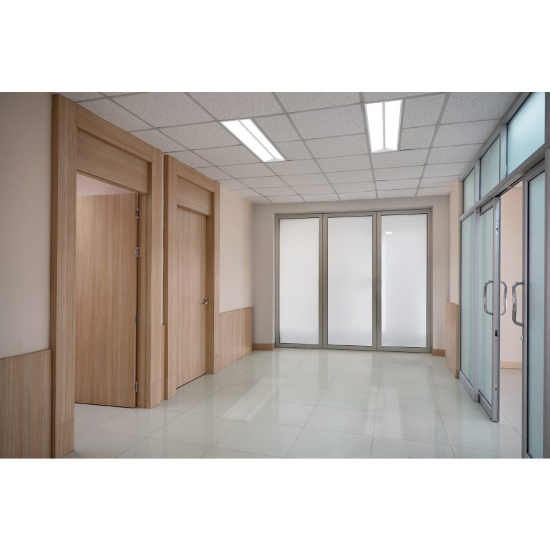 Ledalite Architectural Recessed SilkSpace Duo Light image 1