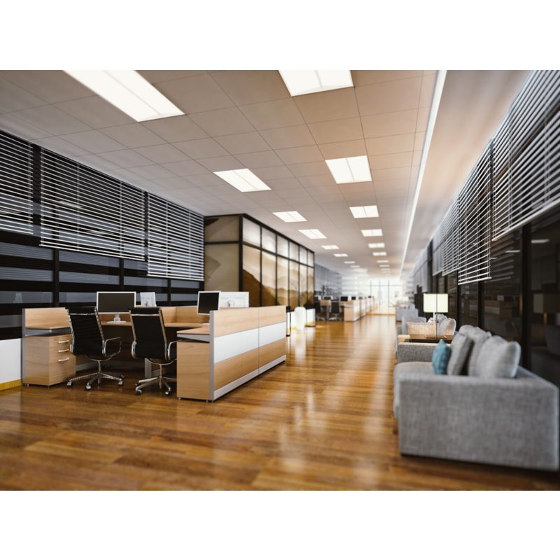 Ledalite Architectural Recessed SilkSpace Duo Light image 4