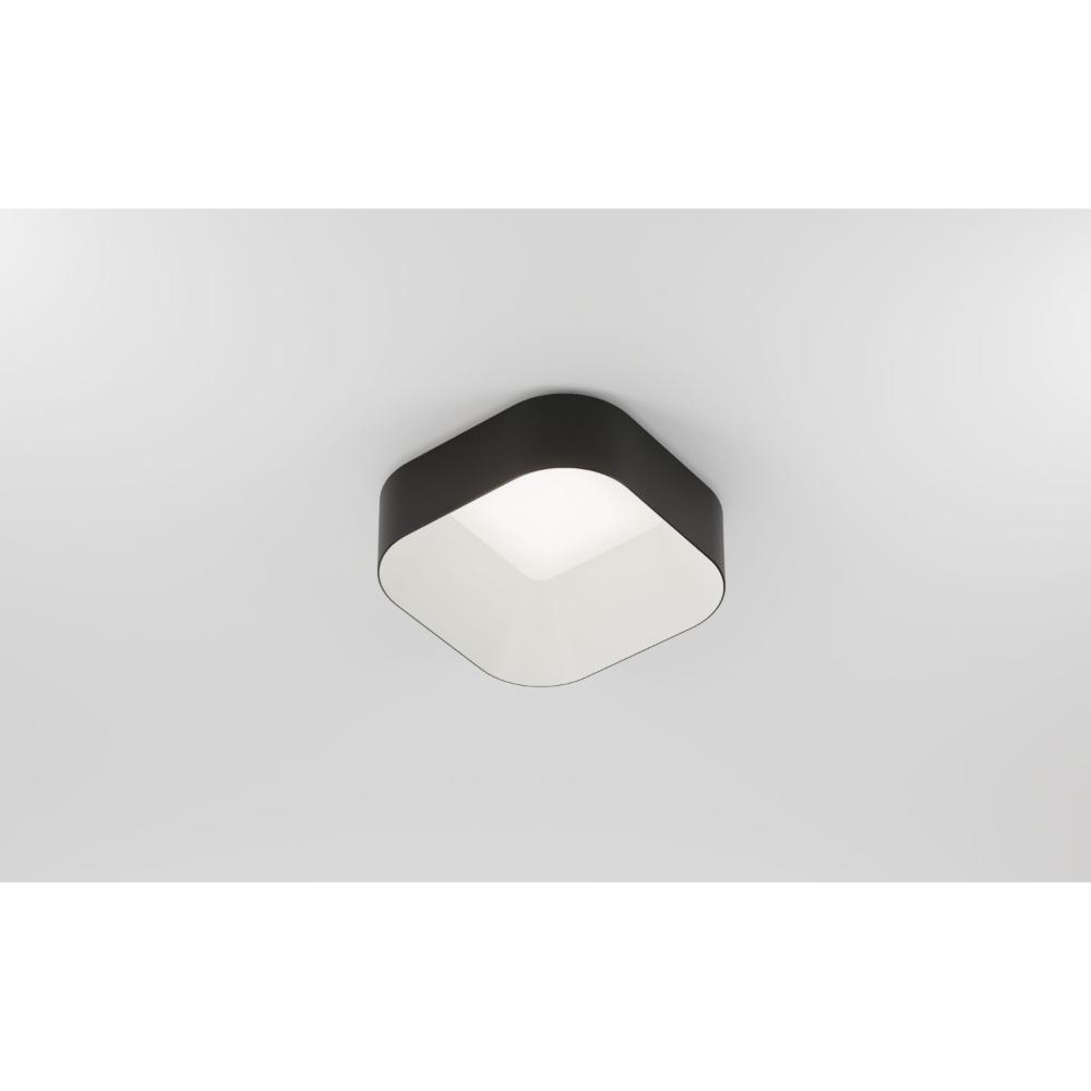 Amerlux Stadia Downlight Family