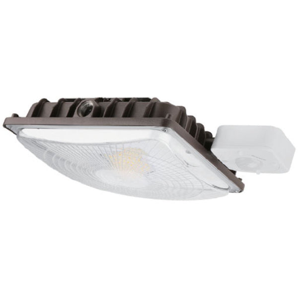 Arcadia Lighting CPGT Select Canopy Light 1