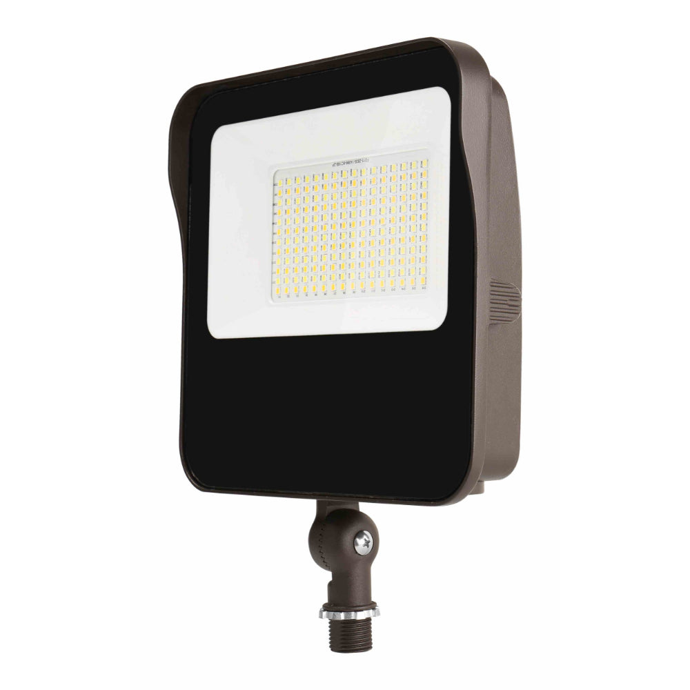 Arcadia Lighting FLT Select Flood Light 2