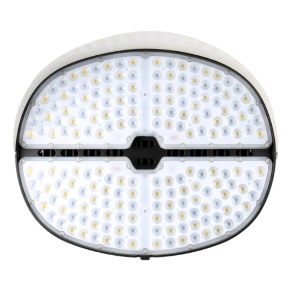 Arcadia Lighting SPL1 Sports Performance Large Light 2