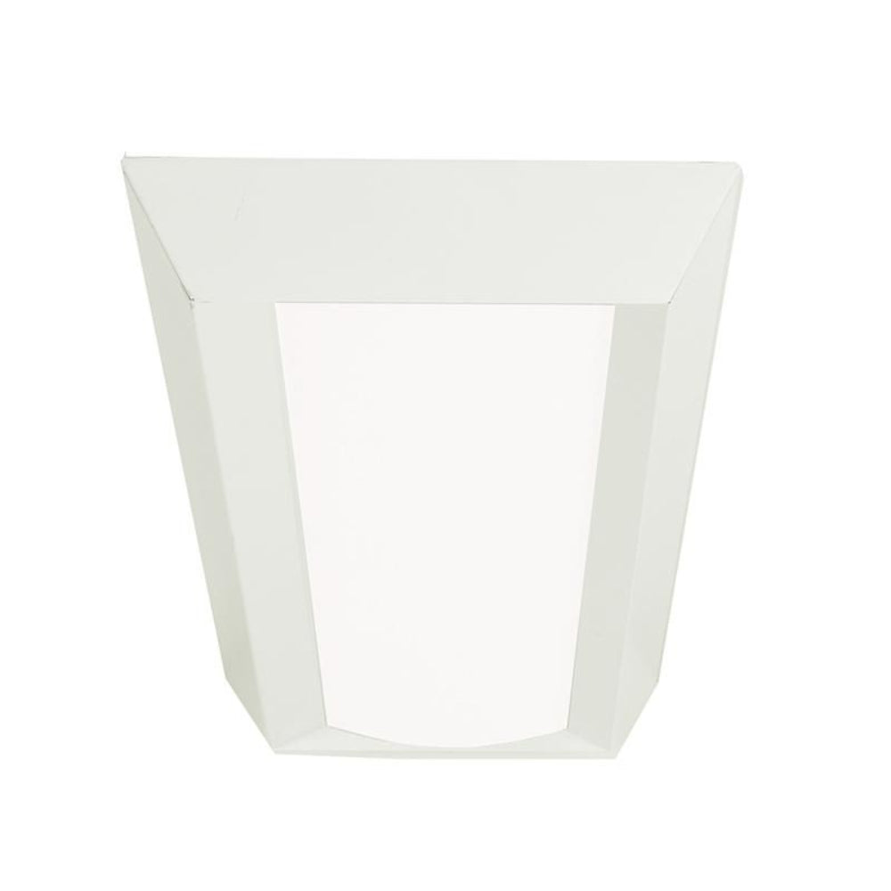 Day Brite Lighting DuaLED Surface LED