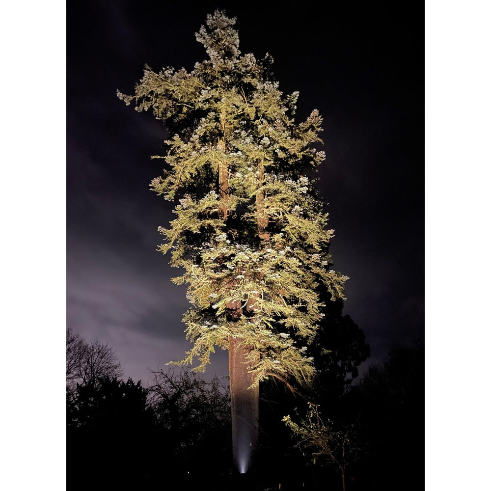 Hunza Ultra 35 Spot Light