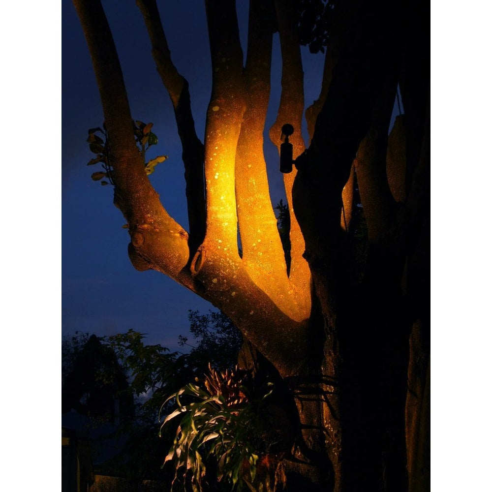 Hunza Tree Mount High Power