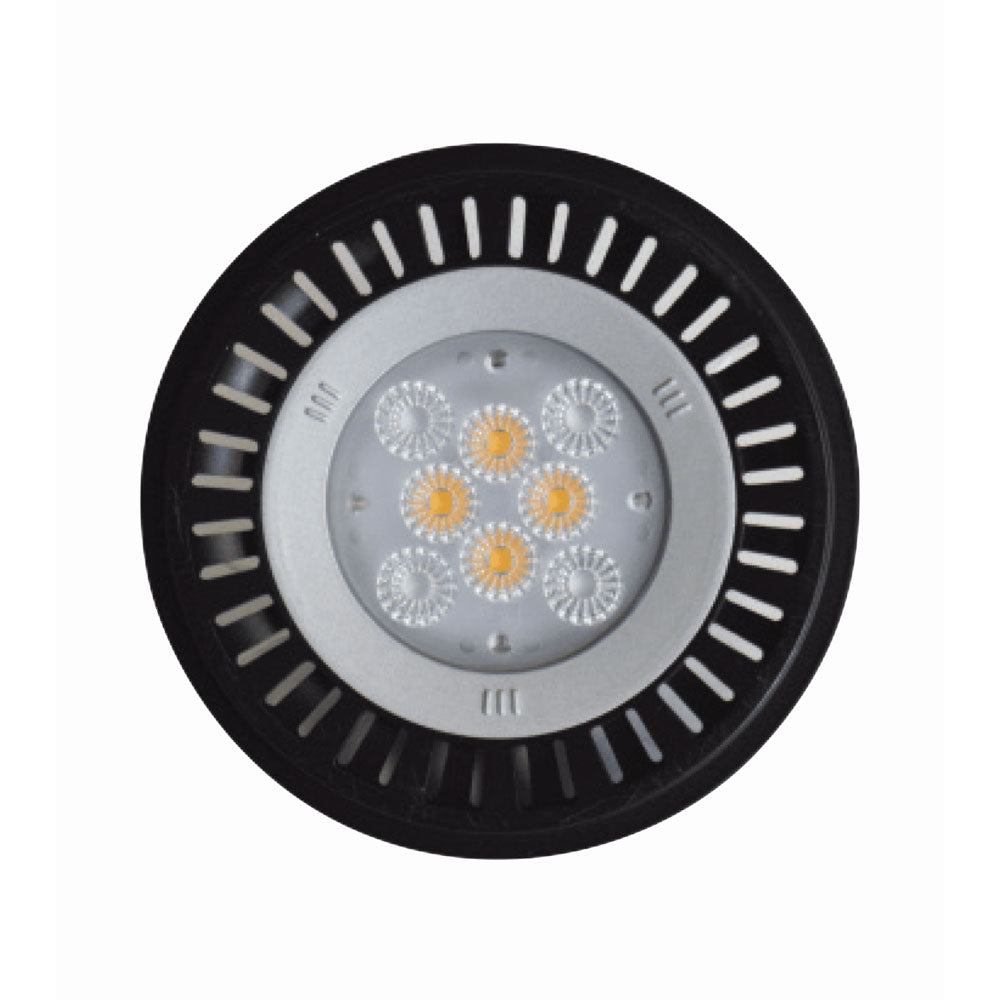 Lightcraft Outdoor LED PAR 36 Premium Series Lamp 1