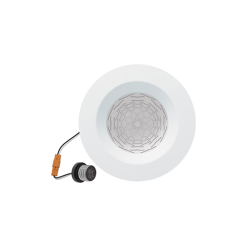 Visual Comfort Reflections 6" Retrofit - Torus