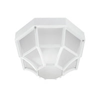 Advantage Environmental Lighting AE03 Octagon Ceiling Mount