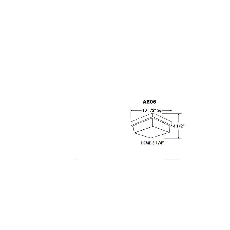 Advantage Environmental Lighting AE06 Square Sentinel 10.5"