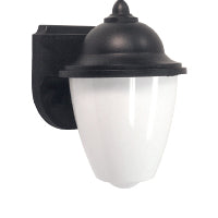 Advantage Environmental Lighting AE36 Acorn Wall Mount