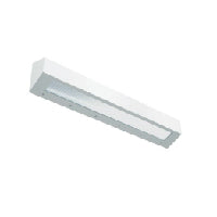 Advantage Environmental Lighting BAN Wall Mount LED Prison Grade