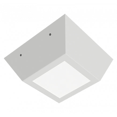 Advantage Environmental Lighting BAS Surface Mount LED Prison Grade Luminaire