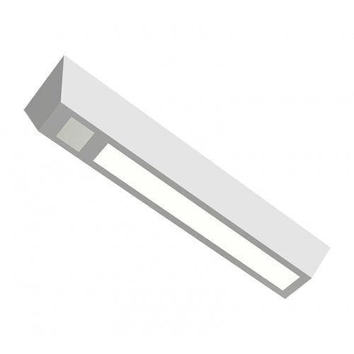 Advantage Environmental Lighting BASPK LED Correctional Surface Mount For Integrated Speaker