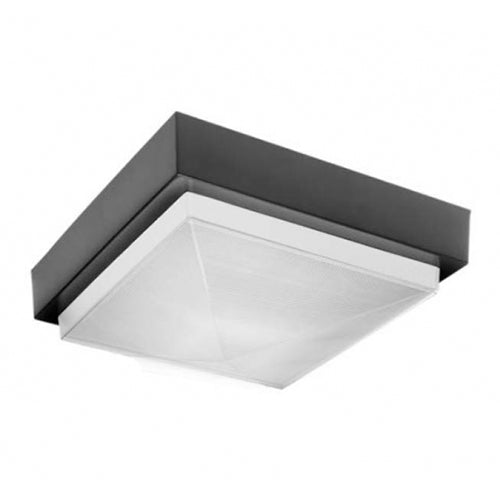 Advantage Environmental Lighting BAU LED Prison Grade Surface Ceiling Mount