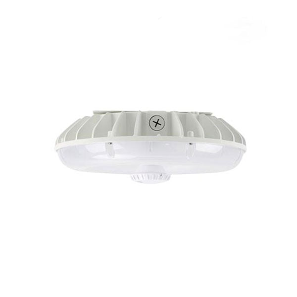 Arcadia Lighting CPG Series Canopy Light