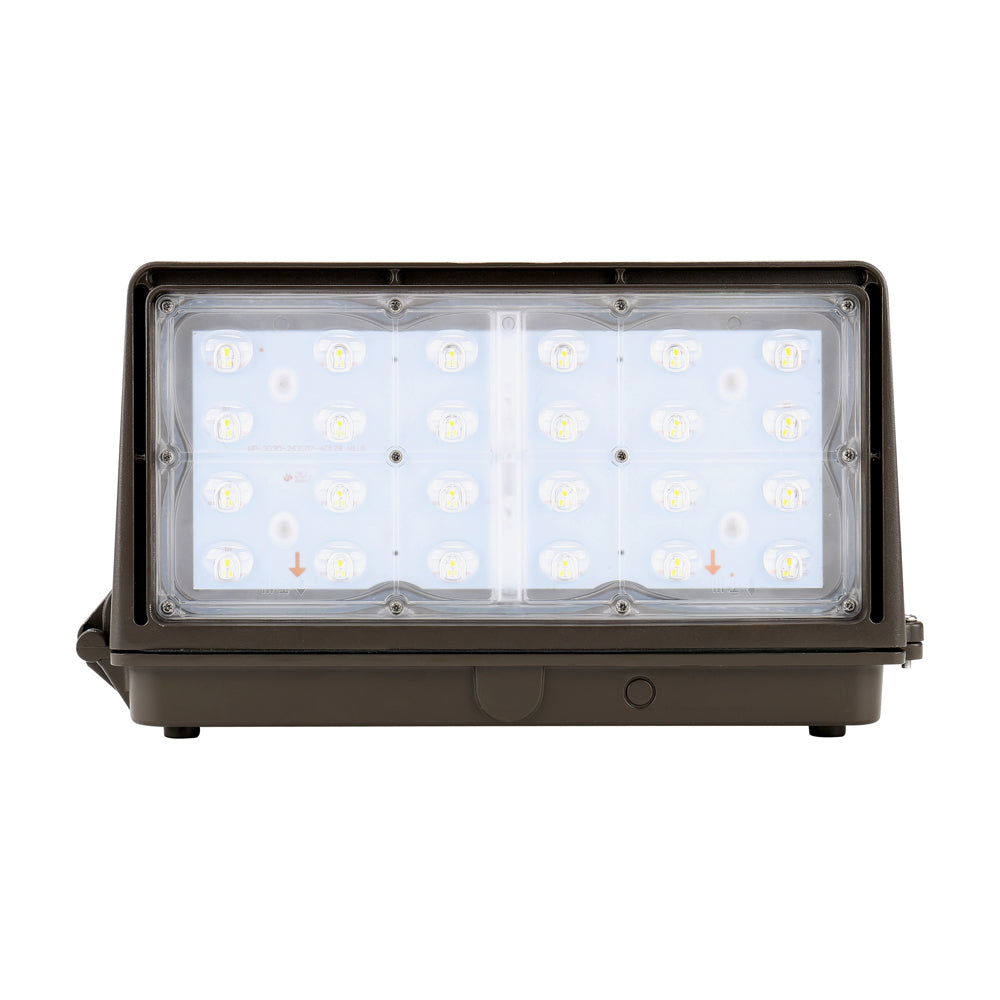 Arcadia Lighting WPFCX Series Wall Light