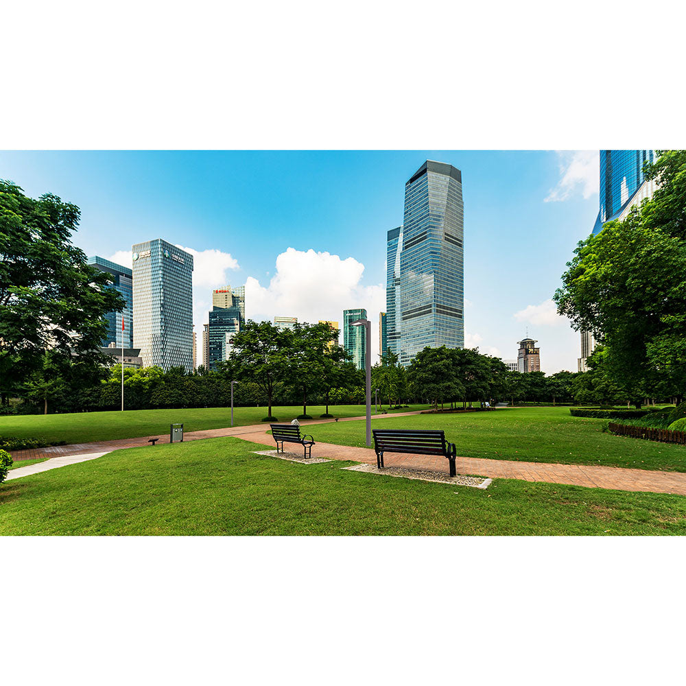 Invue Lighting CCP ClearCurve Pedestrian