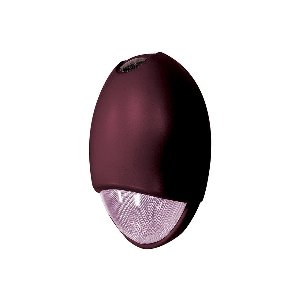 LSI Industries Contemporary Surface Mounted Outdoor Egress CSL