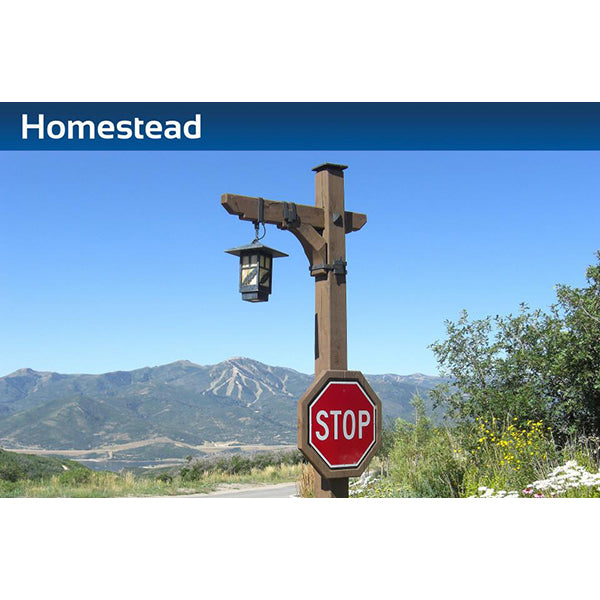 Sternberg Lighting 0690LED Homestead II