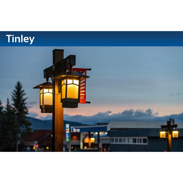 Sternberg Lighting 1220LED Tinley