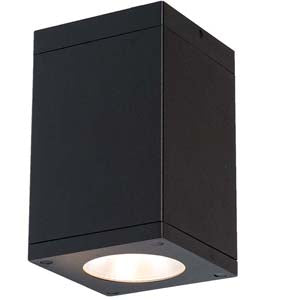 WAC Lighting Outdoor Ceiling Lights