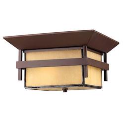 Hinkley Outdoor Ceiling Lights