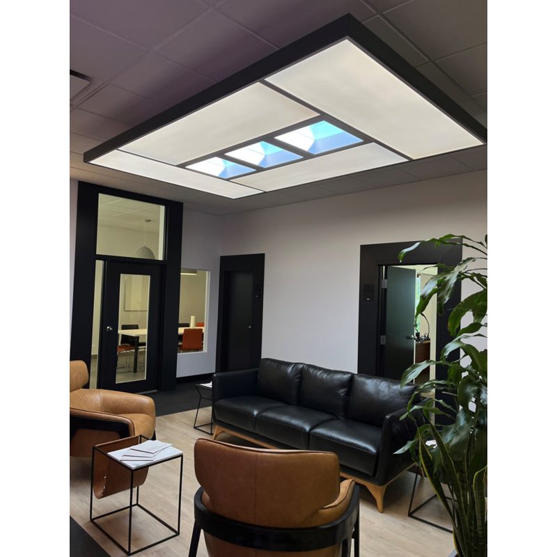 Ledalite NatureConnect Indoor Large Island Ceiling Light image 5