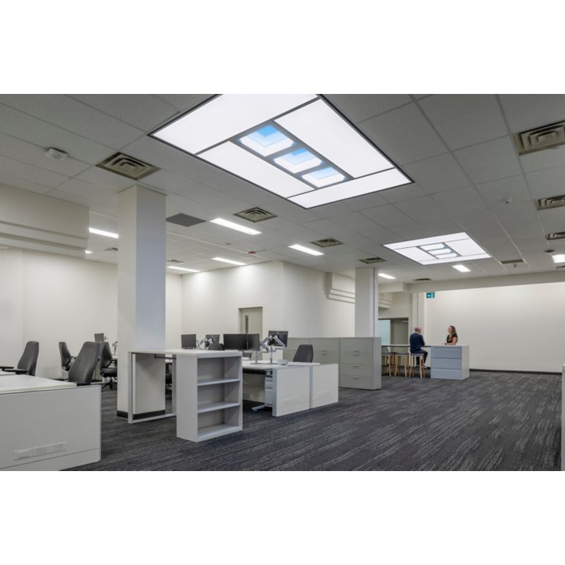 Ledalite NatureConnect Indoor Large Island Ceiling Light image 7