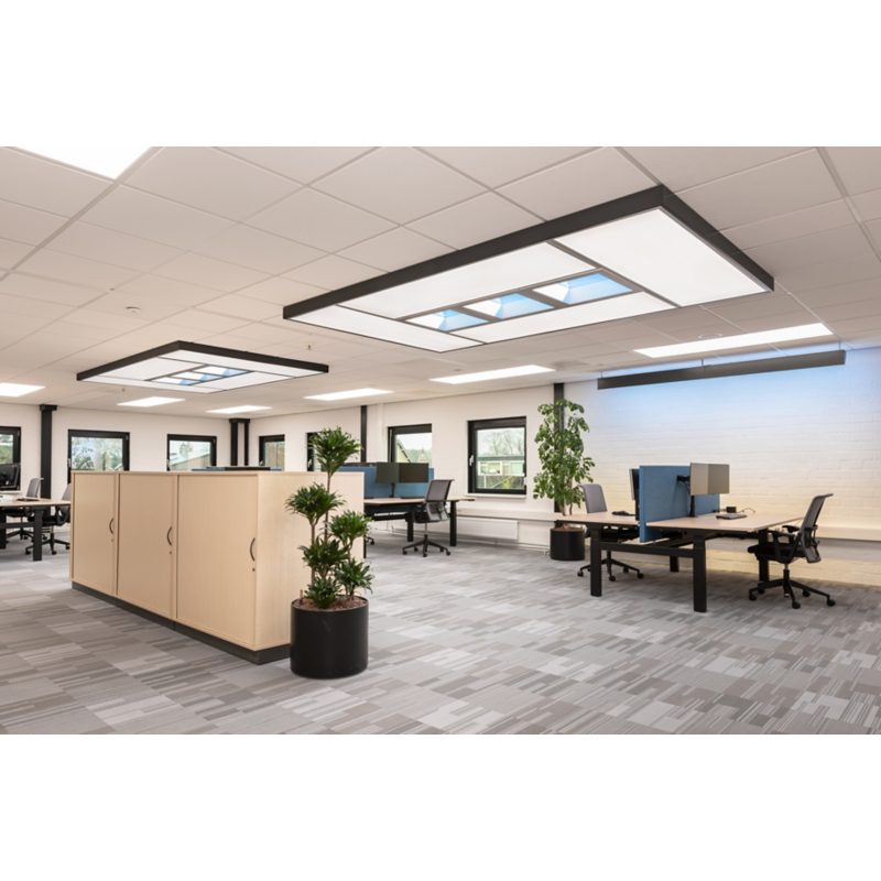 Ledalite NatureConnect Indoor Large Island Ceiling Light image 4