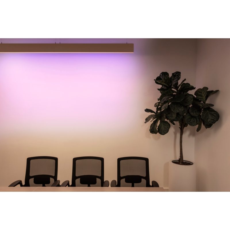 Ledalite NatureConnect Indoor Lightscape Light image 3