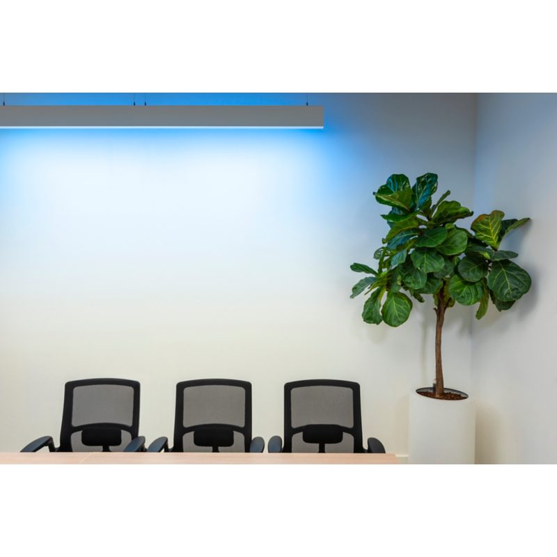 Ledalite NatureConnect Indoor Lightscape Light image 4