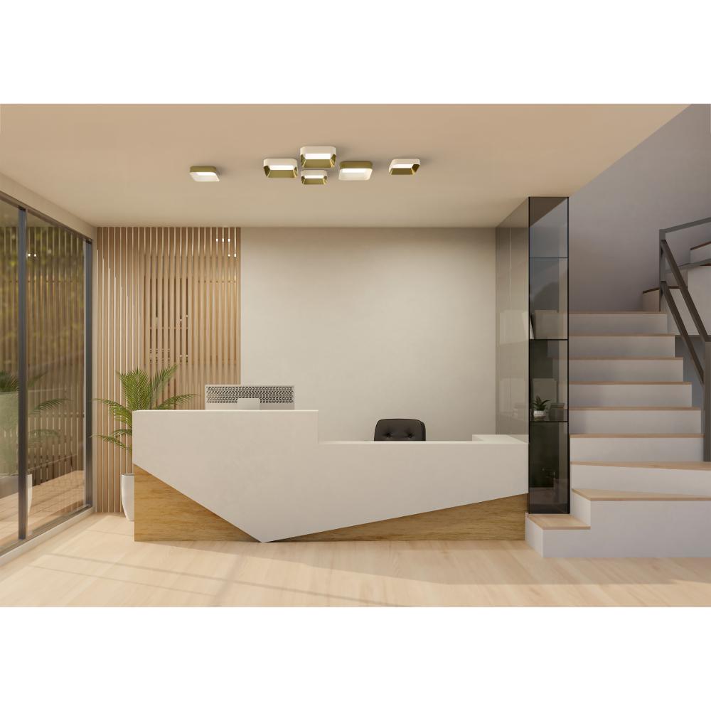 Amerlux Stadia Downlight Family 5
