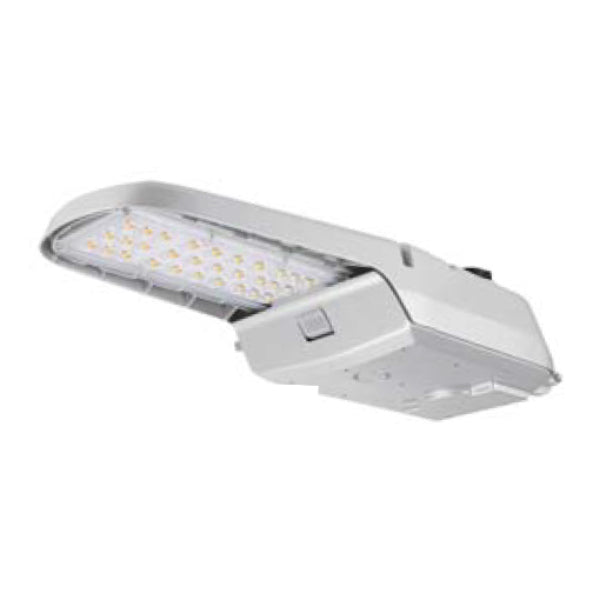 Arcadia Lighting ARL2 Roadway Light 1