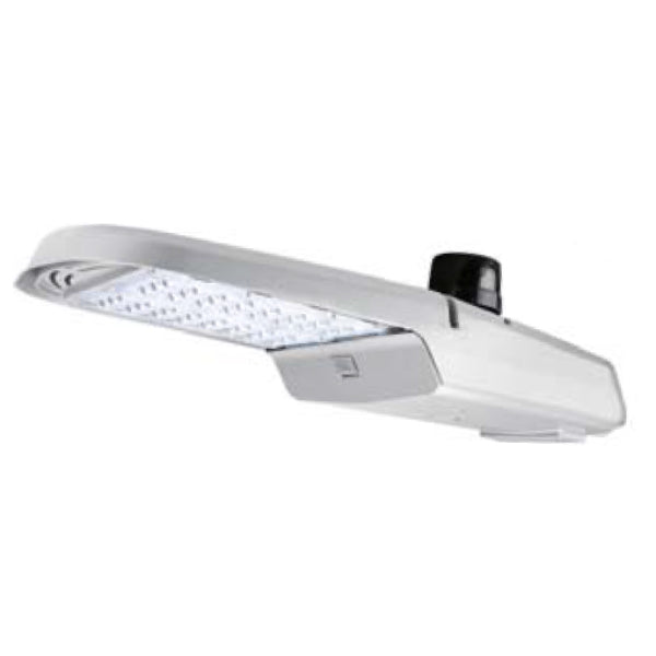 Arcadia Lighting ARL2 Roadway Light 