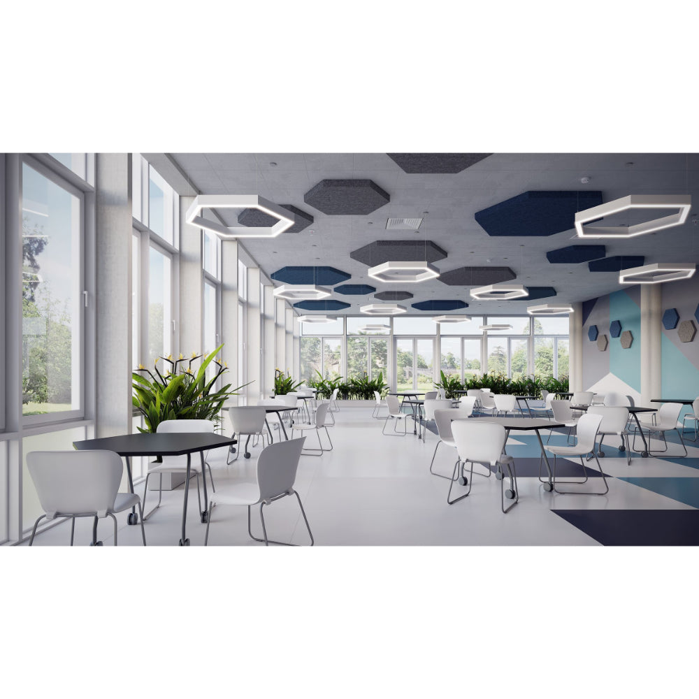 Neo Ray Define Geo Hexa Direct & Indirect Suspended Mount Additional Image 1