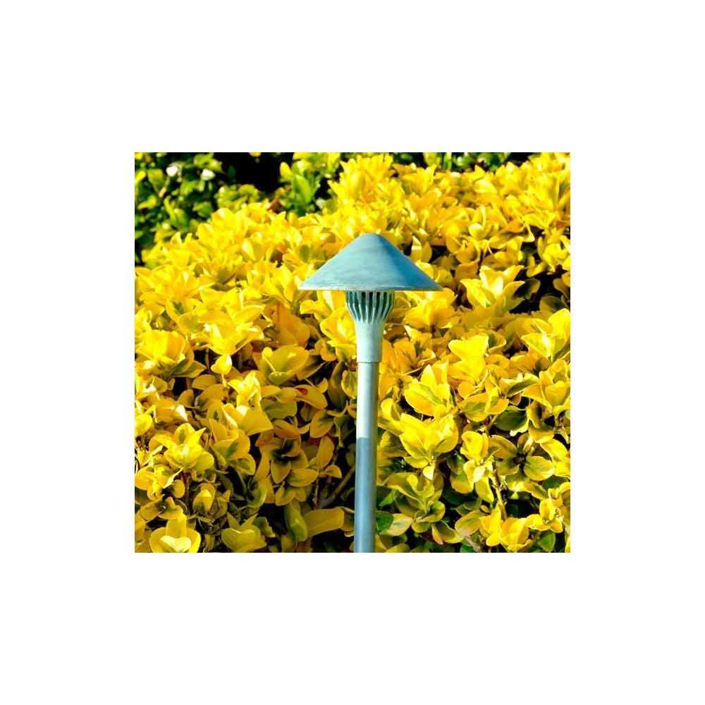 Focus Industries AL-17-LEDP China Hat Path Light