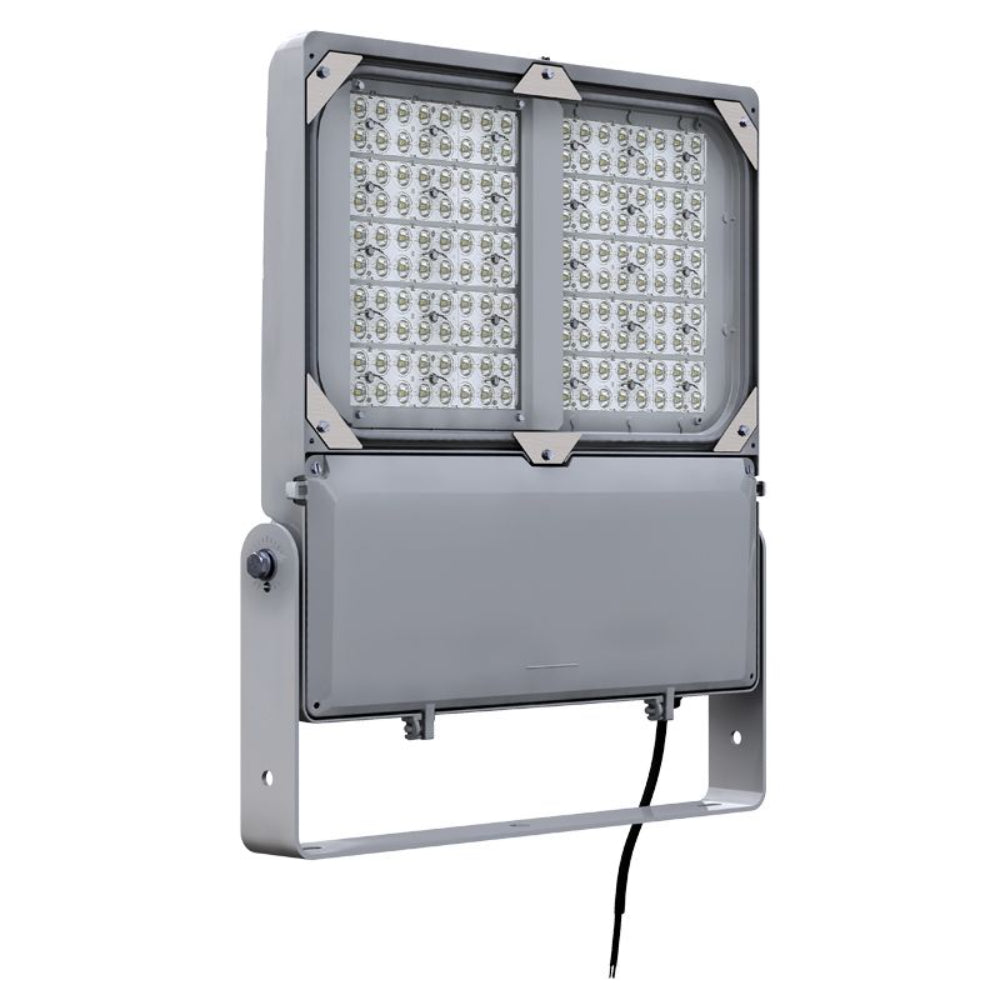 Gardco Lighting FLDL DuraForm Large LED Floodlight
