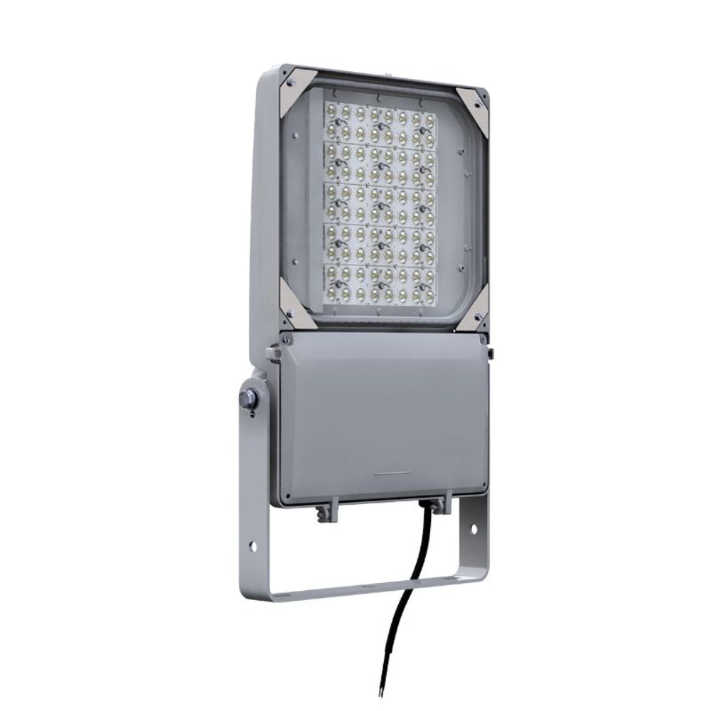 Gardco Lighting FLDM DuraForm Medium LED Floodlight