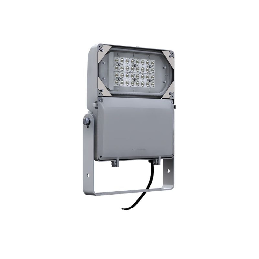Gardco Lighting FLDS DuraForm Small LED Floodlight