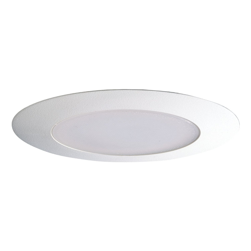 Halo 170 Albalite Lens with Reflector 6 Inch E26 Screwbase Trims