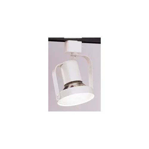 Lightolier Par Ring Light image 1