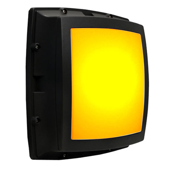 Pemco Lighting AmberLED Hatteras Square Open Wall Mount 