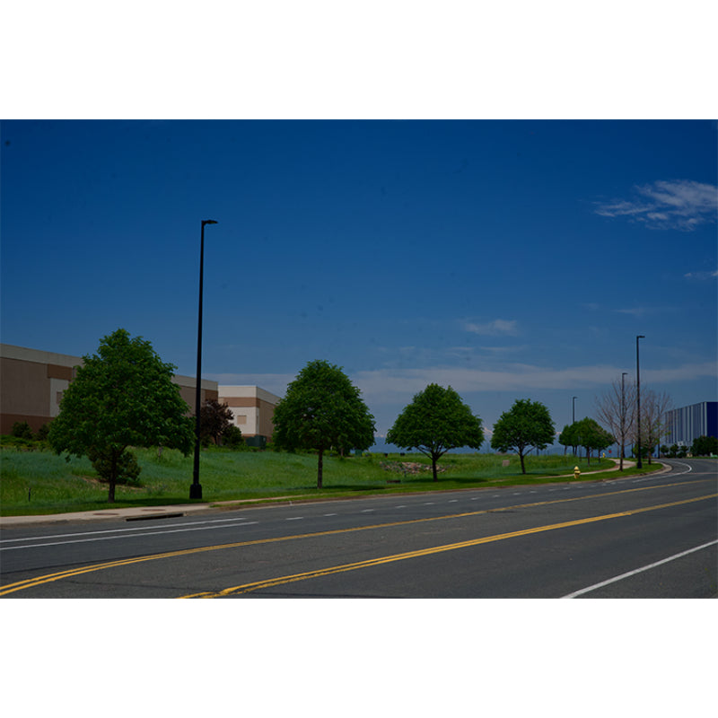 Pemco Lighting Eagle 25 Area Light 11 Additional Image 11