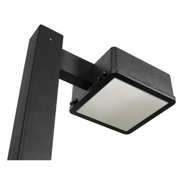 Pemco Lighting PAL 50 Area Light 