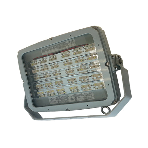 Pemco Lighting PMHLF30 Flood Light 