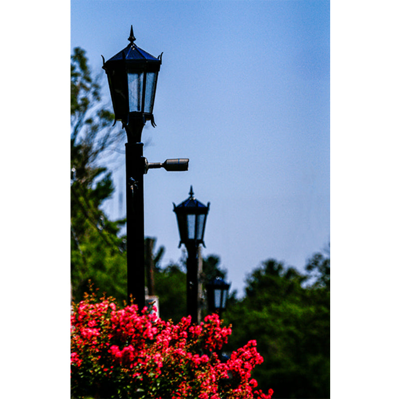 Pemco Lighting Sherwood 1 Post Top 2 Additional Image 2