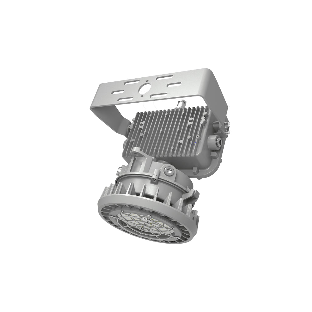 Red Sky Lighting Round X2 Series AC Emergency Version Flood Light Additional Image 2
