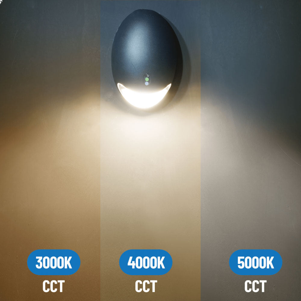 SLG Lighting LED Emergency Wall Pack 1