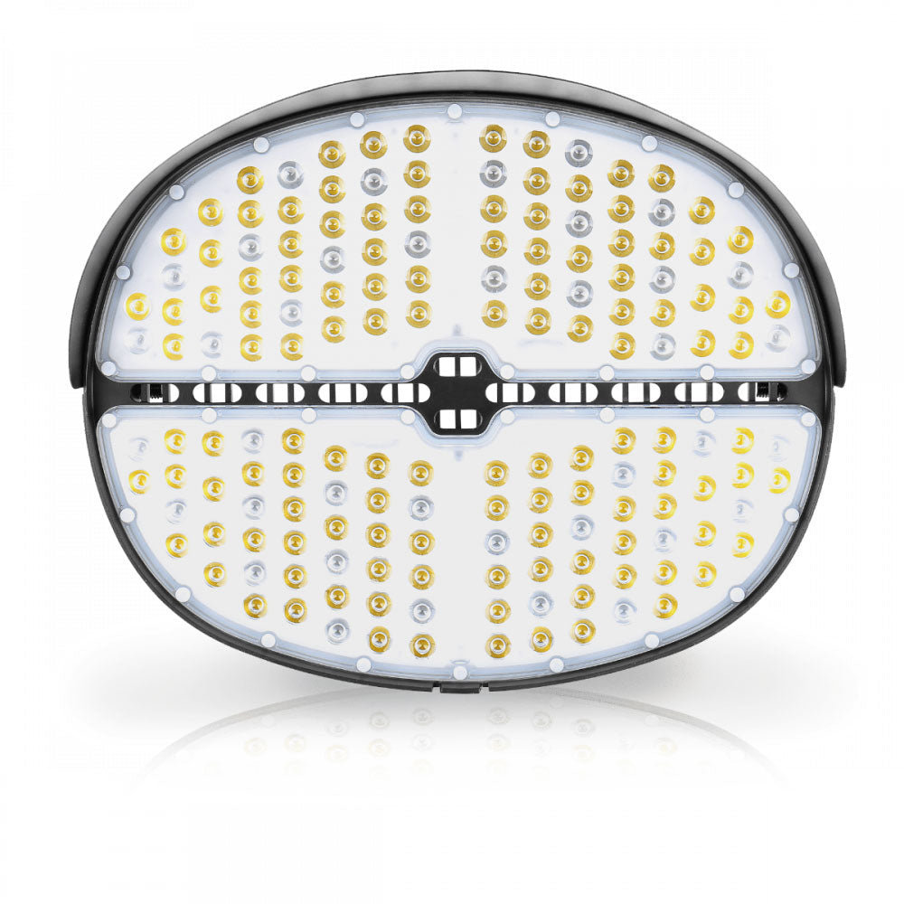 SLG Lighting LED Sports Light 6